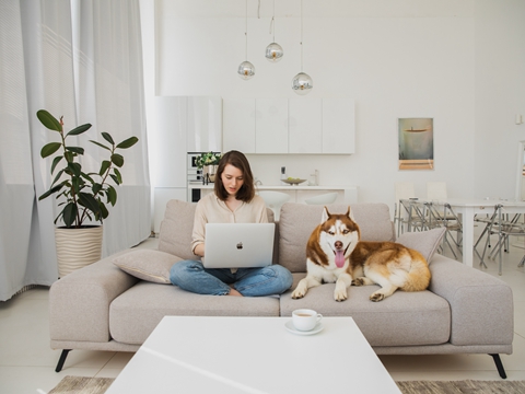 佛羅里達州公司年審報稅流程詳解及避坑指南