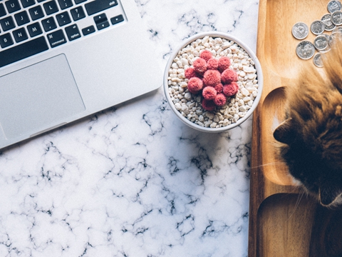 注冊(cè)美國(guó)公司選哪個(gè)州？特拉華與加州稅務(wù)差異達(dá)2萬(wàn)美元